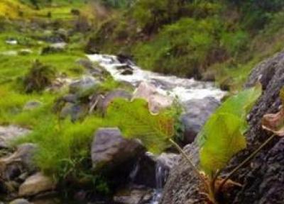 سفر به گنج پنهان چالوس ؛ نگهبان دشت شما را در آغوش می گیرد ، بیژن الهی هم در این بهشت آرمیده است سفر به گنج پنهان چالوس ؛ نگهبان دشت شما را در آغوش می گیرد ، بیژن الهی هم در این بهشت آرمیده است